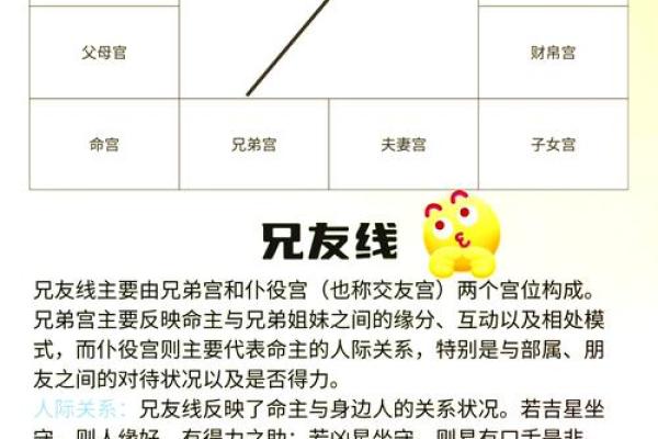 简单看紫薇斗数
