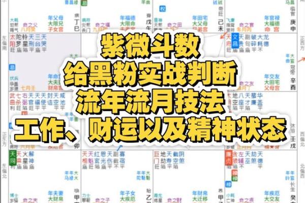 简单看紫薇斗数