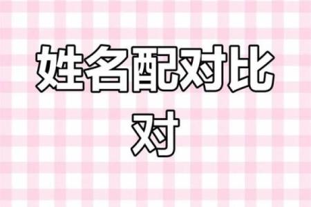 免费姓名配对素材网 免费姓名配对素材网下载？
