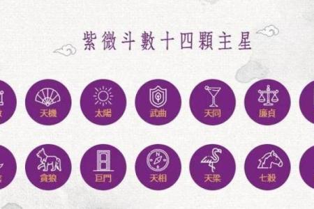 紫微命格查询表 紫微斗数之144种命格