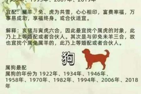 台湾十二生肖算命,十二生肖配对算命