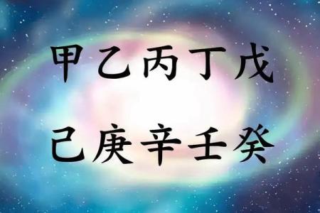 八字甲午辛未