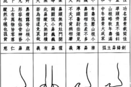 面相算命鼻子