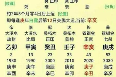 八字算命人的命运