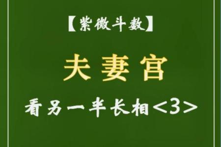 紫薇斗数看才子