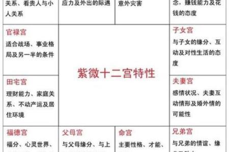紫薇斗数对冲忌
