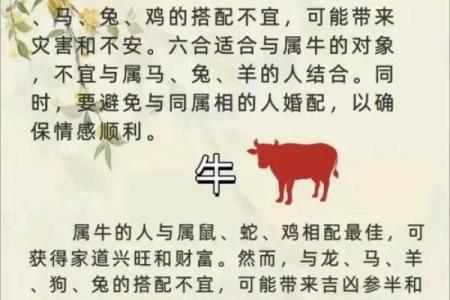 99年属什么生肖配对结婚 99年属什么和什么生肖最配