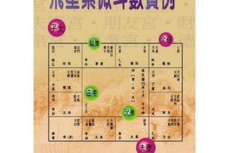 紫微斗数诸星落诸宫之：子女宫