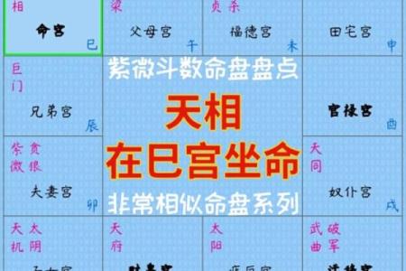 紫薇斗数二胎看那个宫位