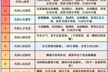 紫薇斗数4