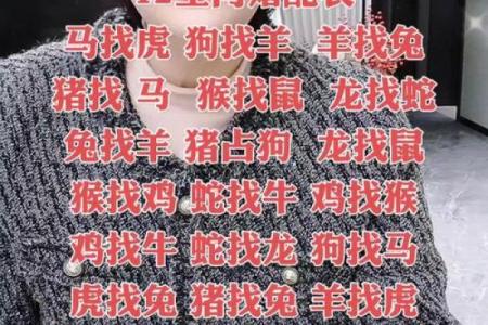 鸡蛇生肖配对指数 鸡和蛇属相婚配指数