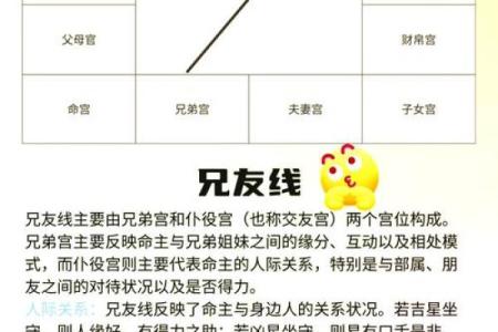 简单看紫薇斗数