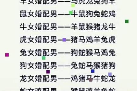 属相配对女性姻缘查询 属相婚姻配对十二生肖配对？