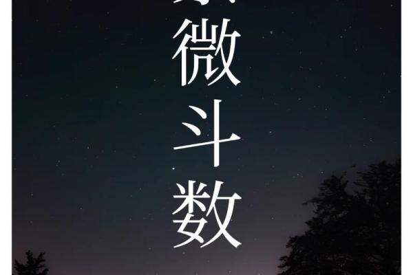 紫薇斗数算命准吗