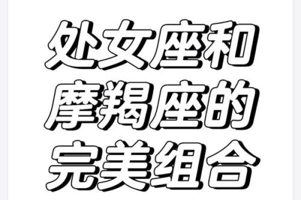 跟处女座天生一对的星座有哪些