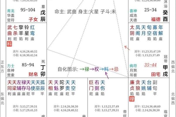 封诰紫薇斗数