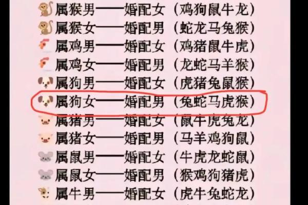 最准的12生肖配对表男龙女兔马 属相婚配男龙女兔
