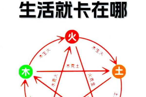 八字五行全
