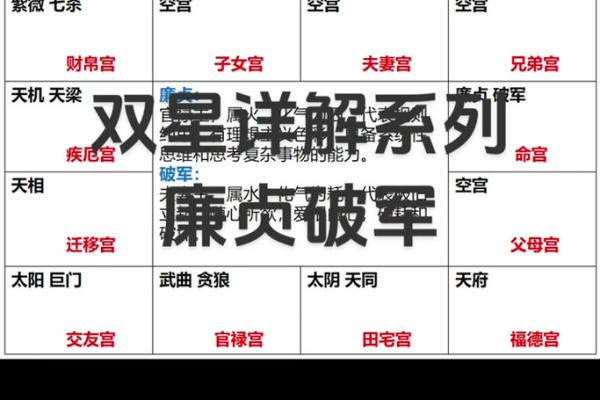 紫薇斗数空宫详解,父母空宫的人命好吗