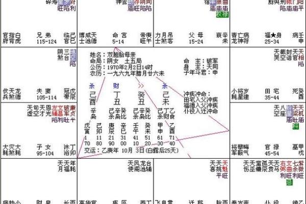 紫薇斗数怎么看命格
