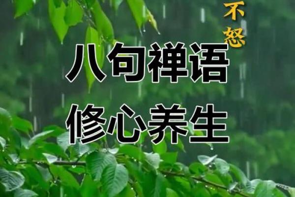 静心八字句
