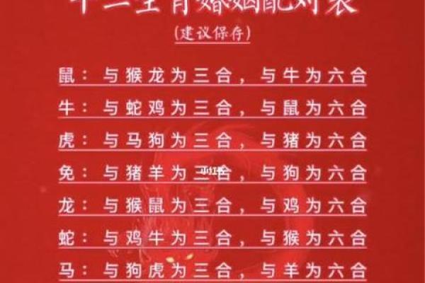 注定成为敌人的属相配对