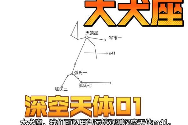 星座小知识：大犬座在什么季节出现