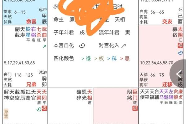 紫薇斗数化禄星