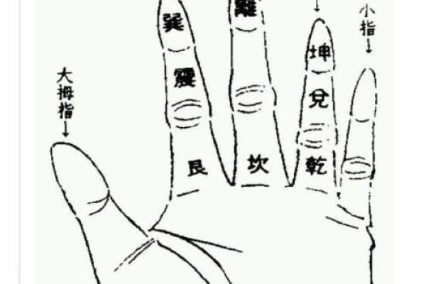 八字信息解析教程，让你轻松掌握八字学问