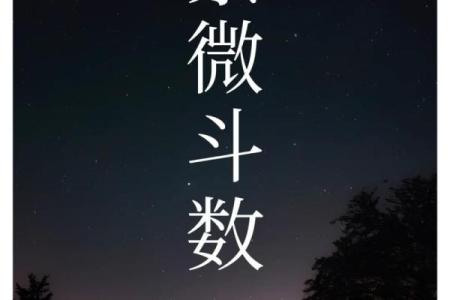紫薇斗数算命准吗