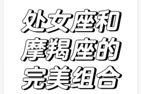 跟处女座天生一对的星座有哪些