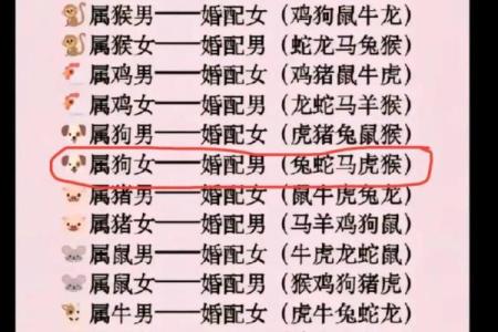 最准的12生肖配对表男龙女兔马 属相婚配男龙女兔