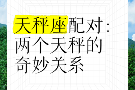 天秤和天秤配对合适吗 天秤男为什么会爱天秤女