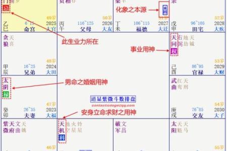 紫薇斗数怎么看命格