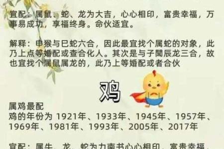 十二属相生肖配对姻缘查询