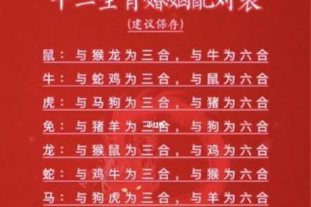 注定成为敌人的属相配对