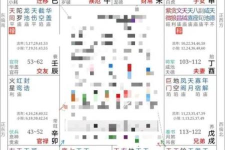 紫薇斗数排盘免费测试