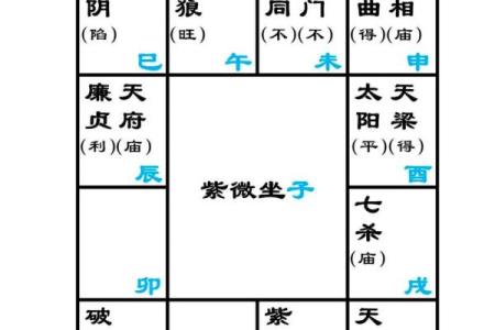 紫微斗数终极 紫微斗数解释？