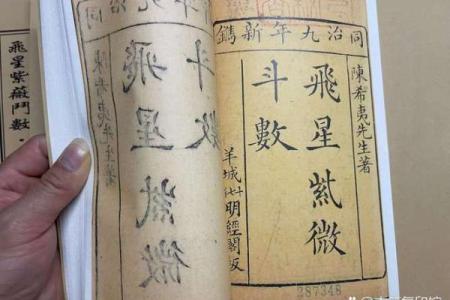 紫薇斗数奏书
