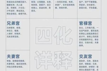 紫薇斗数化禄星