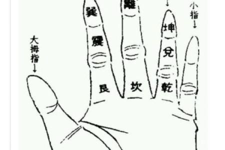 八字信息解析教程，让你轻松掌握八字学问