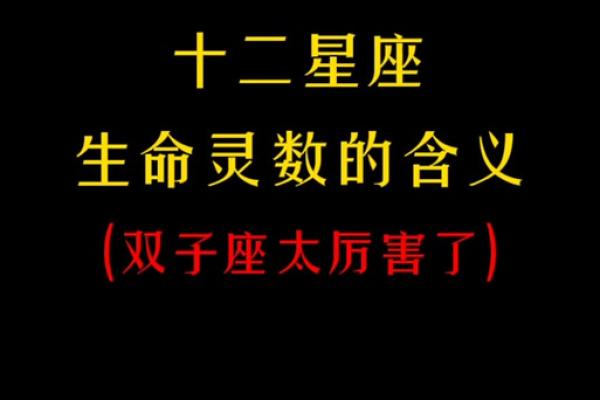 生命灵数8和几配对
