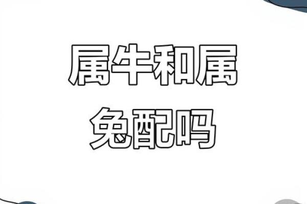 属牛的狮子座和属蛇的双子座配对吗