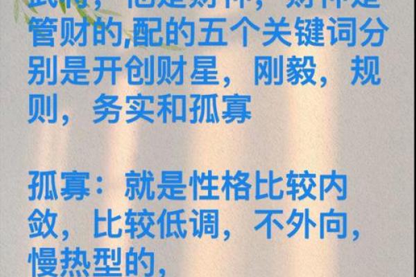 紫薇斗数视频
