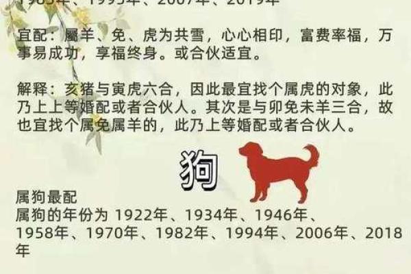 1996年属什么生肖配对 属相婚配表解析