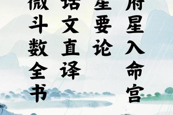 紫薇斗数天府男