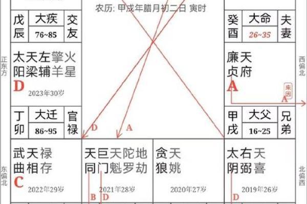 紫薇斗数全书架构