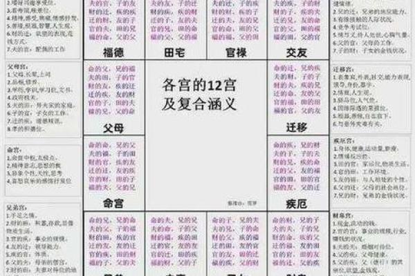 紫薇斗数全书架构