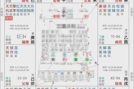 南辰紫薇斗数