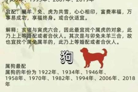 1996年属什么生肖配对 属相婚配表解析